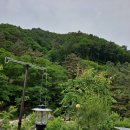 아담펜션&캠핑장 이미지