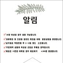 티프린팅 이미지