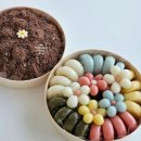 가람오피스 | [백일잔치] 별내 차림 이벤트 2번 룸, 귀빈상 후기(+미담, 떡가람, 포모나)