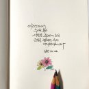 색연필 붓펜 그림 손글씨 이미지