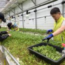 세탁은행 이미지