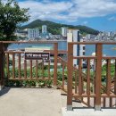 삼밭협동조합 이미지