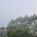(주)그린월드 이미지