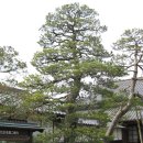 한일레포츠 이미지