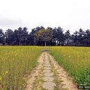 훌쩍 떠나보는 역사여행 (고려시대) 이미지