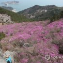 비단복권 이미지
