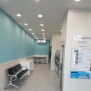 크린업24조례