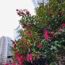 뚜레쥬르 해운대수비교차로점 | 장산(해운대구)서 호흡 좀 끌어올리고 온 하루. 새 코스도 찾고해서 더 좋았슴 2025년 12월 25일