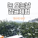 현수농장 이미지