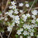 비엔나모텔 이미지