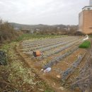 길상면-4 이미지