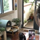 한울타리민박 이미지