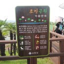 2015. 8. 28 사천 초전공원--진주 정촌 강주 연못--함안 강주 해바라기 이미지