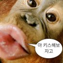 통닭에 마술사 | 1월의 나