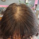 선머리방 - 진주시 | 홍천아이롱펌 잘하는곳 힘없는 중년머리 보브컷 뿌리볼륨 살리기 (서석면 예쁜머리방)
