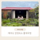 폴개우영 | 제주 폴개우영 서귀포 감성 숙소 예약 방법, 후기 우리의 인생 숙소