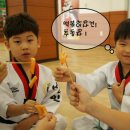 선인태권도장 이미지