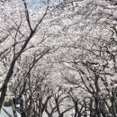 화개루