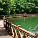 완도수목원 이미지