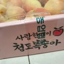 포그니침장 네이버블로그