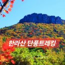 영실기암과 오백나한 | 🏔 [5-1편] 한라산 단풍 트레킹 (영실·어리목·돈네코 코스, 제주)