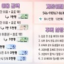 13번째고양이 이미지