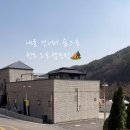 내를 건너서 숲으로 캠핑장 이미지