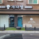 개샤방 이미지