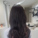 박진희헤어 | 여름쿨톤라이트 웨딩촬영 염색 '유이프헤어' 내돈내산 후기