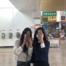 도희목장 네이버블로그