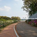 기흥호수공원(뚝방) 이미지