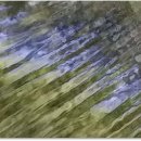 계곡수채화 이미지