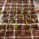 선향농장 이미지