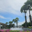 (주) 수퍼트리 | 싱가포르 여행 가든스바이더베이 - 현장예매 입장료, 슈퍼트리쇼 시간과 명당, 마리나바라지 전망