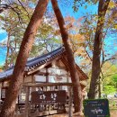 레이크힐스호텔속리산 | 속리산 법주사 가는길 단풍은 아직! 국화축제는 절정 실시간 후기