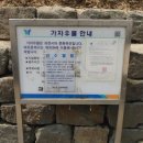 삼거리우물