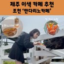 모자경로당 | 제주 조천읍 카페 만다리노카페 말 먹이주기 체험하는 제주 이색 카페