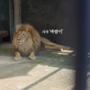 벌떡청주 티스토리