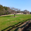 새들목장 이미지