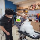 김성균애견미용학원
