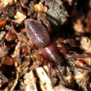 용인 행정사사무소 이미지