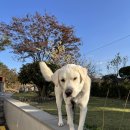 스테이 말래 | 가평 워크숍 -2편- (스테이말래, 가마솥할머니해장국, 살롱 드 이터널저니)