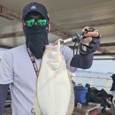 덕진호 좌대낚시터 이미지