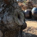 태림농원 이미지