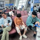 오종식농장 | 여름의 일본, 삿포로 자유여행 ep01. 대가족이 떠난 삿포로는 어땠을까용? 징기스칸, 팜토미타, 청의...