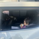 자동차랜드 | 부산 애니카랜드 대연점 소소 후기🚘🚗🚨