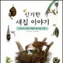 2012.11 동화읽는어른 ＜새로 나온 책＞ 이미지