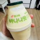 이제 겨울인가