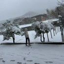 데굴데굴 이미지