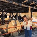 방은목장 이미지